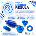 Módulo Sensorial REGULA - 5 em 1