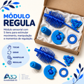 Módulo Sensorial REGULA - 5 em 1